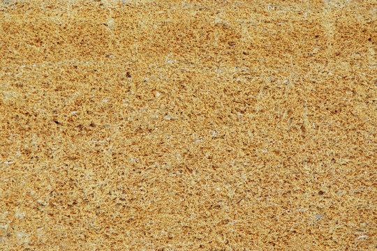 porous stone texture
