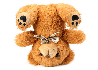 toy teddy bear isolated on white background