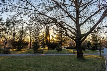 In the park at thee sunset
