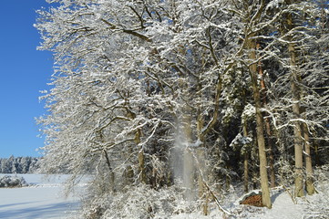 Es ist Winter. Außerhalb der Stadt. Wald