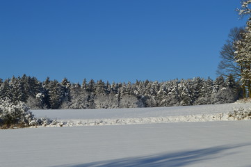 Es ist Winter. Außerhalb der Stadt. Wald