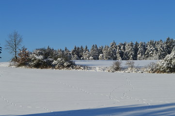 Es ist Winter. Außerhalb der Stadt. Wald