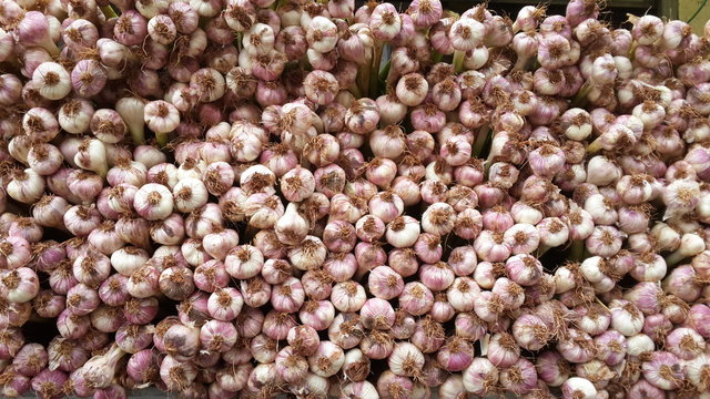Spring garlic
