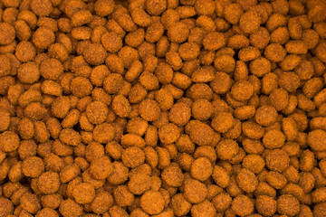Pet kibbles close-up. Dog and cat dry food