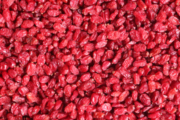 Dry Berberis. Close Up Red Berry Texture