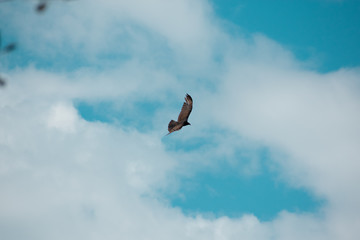 Liberación en el aire.