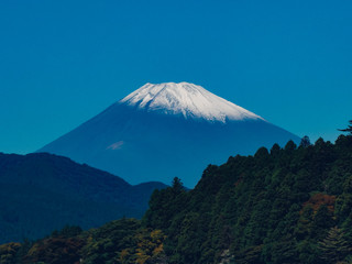 山