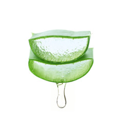 Fresh aloe vera slices with dripping juice on white background