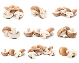 Set of fresh delicious champignon mashrooms on white background