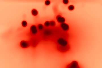  blood corpuscles a microscope, blood type view