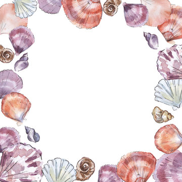 Square frame with hand painted sea shells. Marine design. Hand drawn watercolor painting on white background.