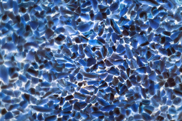 bacteria or cells under a microscope. Multiplication of bacteria or infection. Scientific experience. Microbes attacking cells