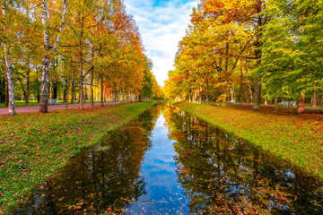 Autumn foliage in Alexander park, Tsarskoe Selo (Pushkin), St. Petersburg, Russia