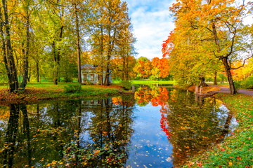 Autumn foliage in Alexander park, Tsarskoe Selo (Pushkin), St. Petersburg, Russia