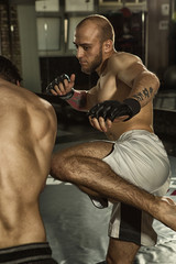 Side view of strong muscular boxer in gloves and shorts kicking with leg his rival in gym....