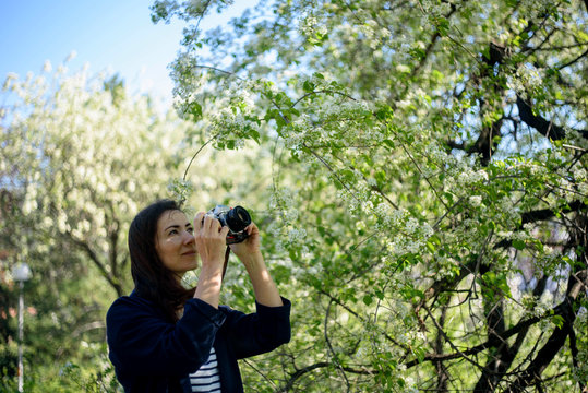 Woman photographer is holding an analog camera and taking pictures of a blooming cherry tree in a spring park