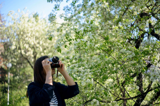 Woman photographer is taking pictures of a blooming cherry tree with an analog camera in springtime 