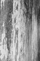 Side view of a weathered and old gray concrete wall in black and white. Plaster is partly peeled off. Selective focus, shallow depth of field.