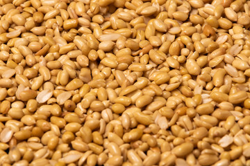 Washed grains of peeled peanuts ready for frying