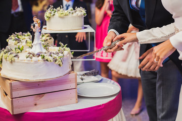 bride and groom figurines on the wedding cake