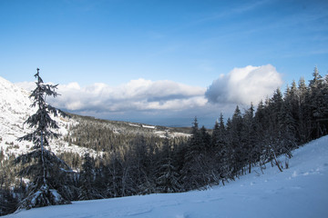 Fototapeta na wymiar Zima w górach . Karkonosze Polska Europa