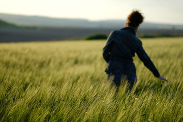Silhouette of the young girl in the field of wheat.