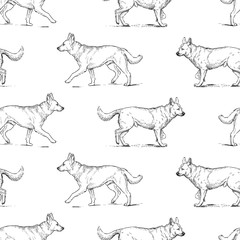 Seamless background of guard dogs sketches
