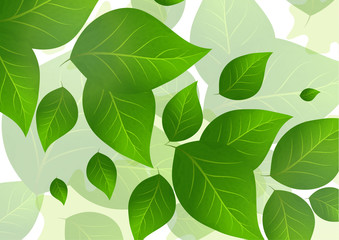Abstract background with bright green leaves - Vector Graphics