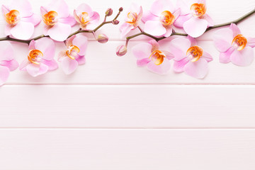 Naklejka na ściany i meble Orchid flower on the wooden pastel background. Spa and wellness scene.