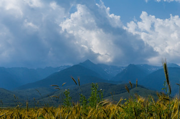 Fototapeta premium Wonderful Carpathian mountain landscape