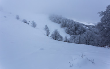 Frozen landscapes on a cold day of winter in Trascaului Mountains, Romania