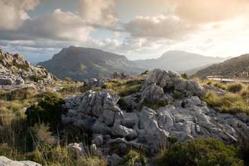 Fototapeta na wymiar Mallorcas Landschaft in den Bergen