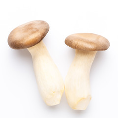 King oyster mushroom on white background.