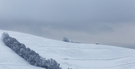 Frozen landscapes on a cold day of winter in Trascaului Mountains, Romania