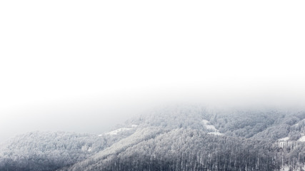 Frozen landscapes on a cold day of winter in Trascaului Mountains, Romania