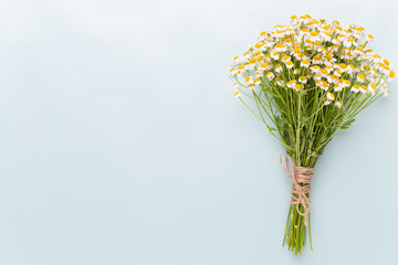 Chamomile aromatherapy theme , handmade cosmetic. space for textessential  and medical flowers herbs