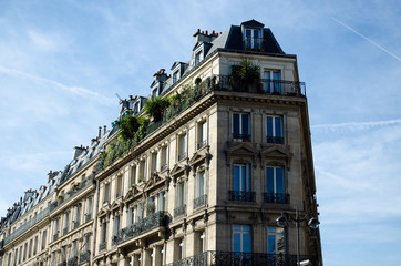 Fototapeta na wymiar Parisian architecture