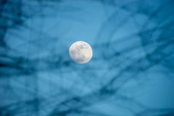 Winter full moon in daytime