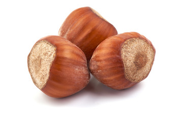 Hazelnuts, close-up isolated on white background