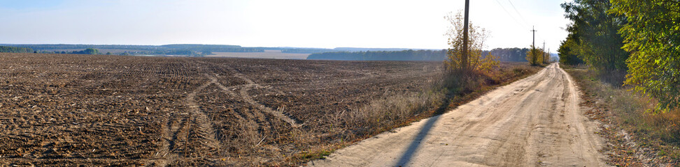 Fototapeta na wymiar dusty road near the field