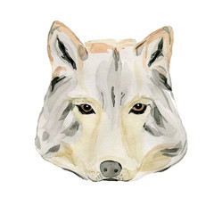 Watercolor wolf face