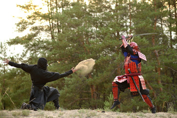 Samurai fight with ninjas on a background of forest and sand © mishadp