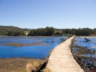 Salinas do Ulló, en Pontevedra, paisaje natural con agua , aves y vegetación, en el verano de 2018
