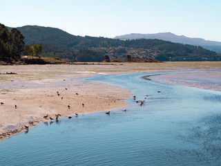 Salinas do Ulló, en Pontevedra, paisaje natural con agua , aves y vegetación, en el verano de 2018