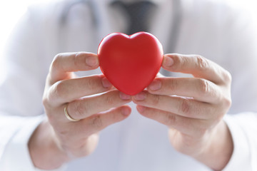 The doctor is holding a heart in the hands. Heart is a life!
