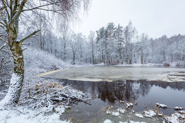 Morrum river in snowy winter scenery, Sweden