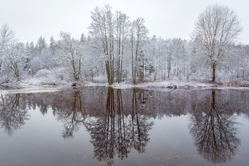 Morrum river in snowy winter scenery, Sweden