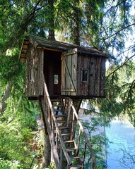 tree Hut 