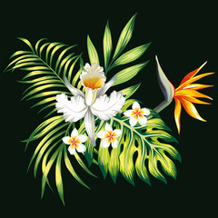 Exotic composition tropical flowers and leaves black background