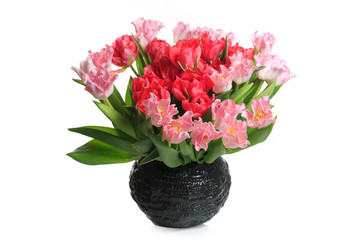 Festive bouquet of pink and red tulips in a ceramic vase isolated on a white background.